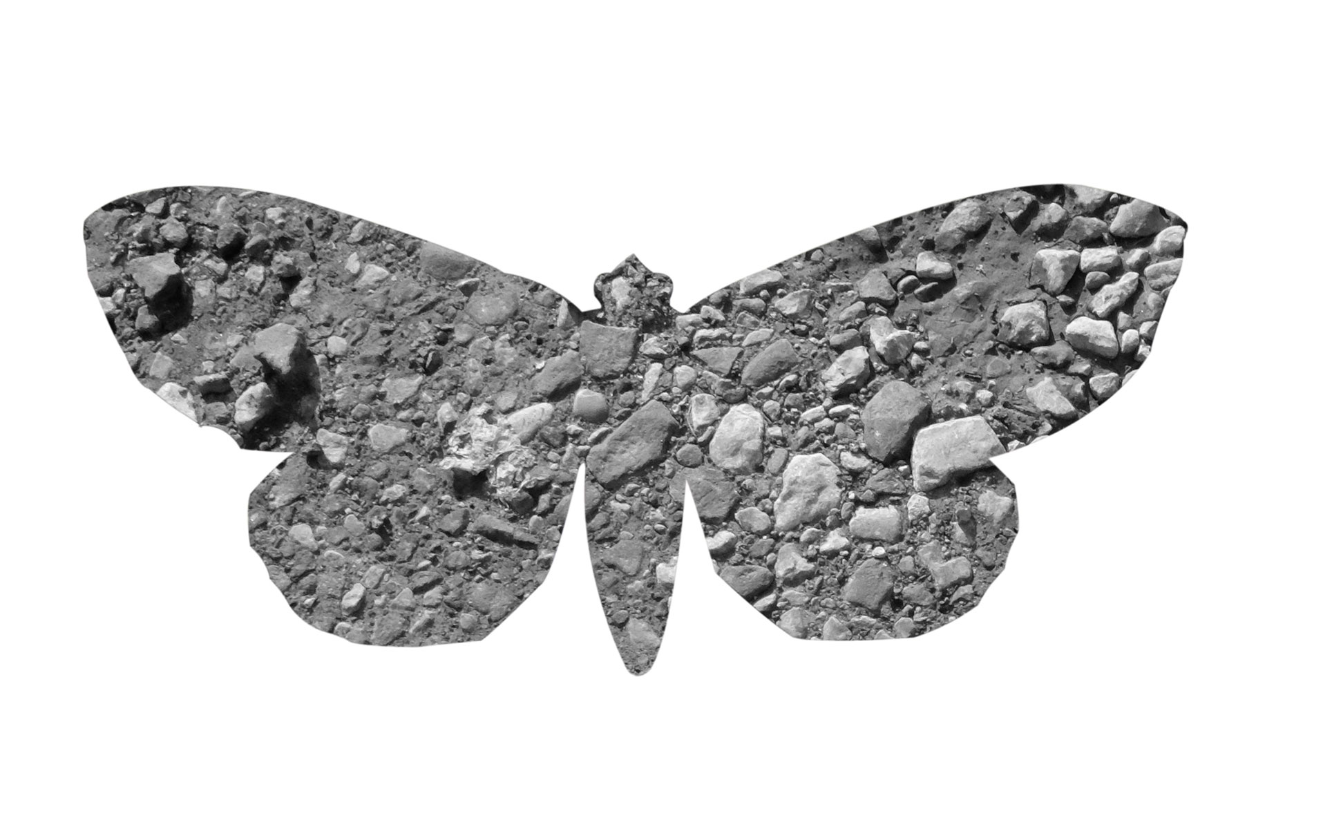 ian clegg photography the Urban Moth Project